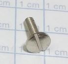MAIN SCREW